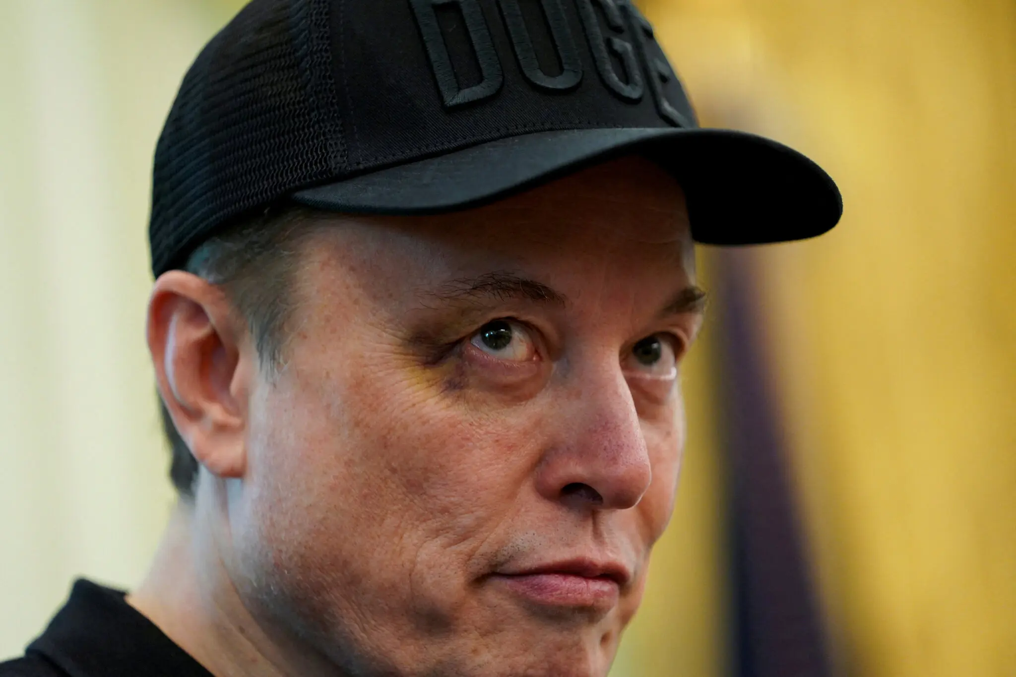 Elon Musk Signals