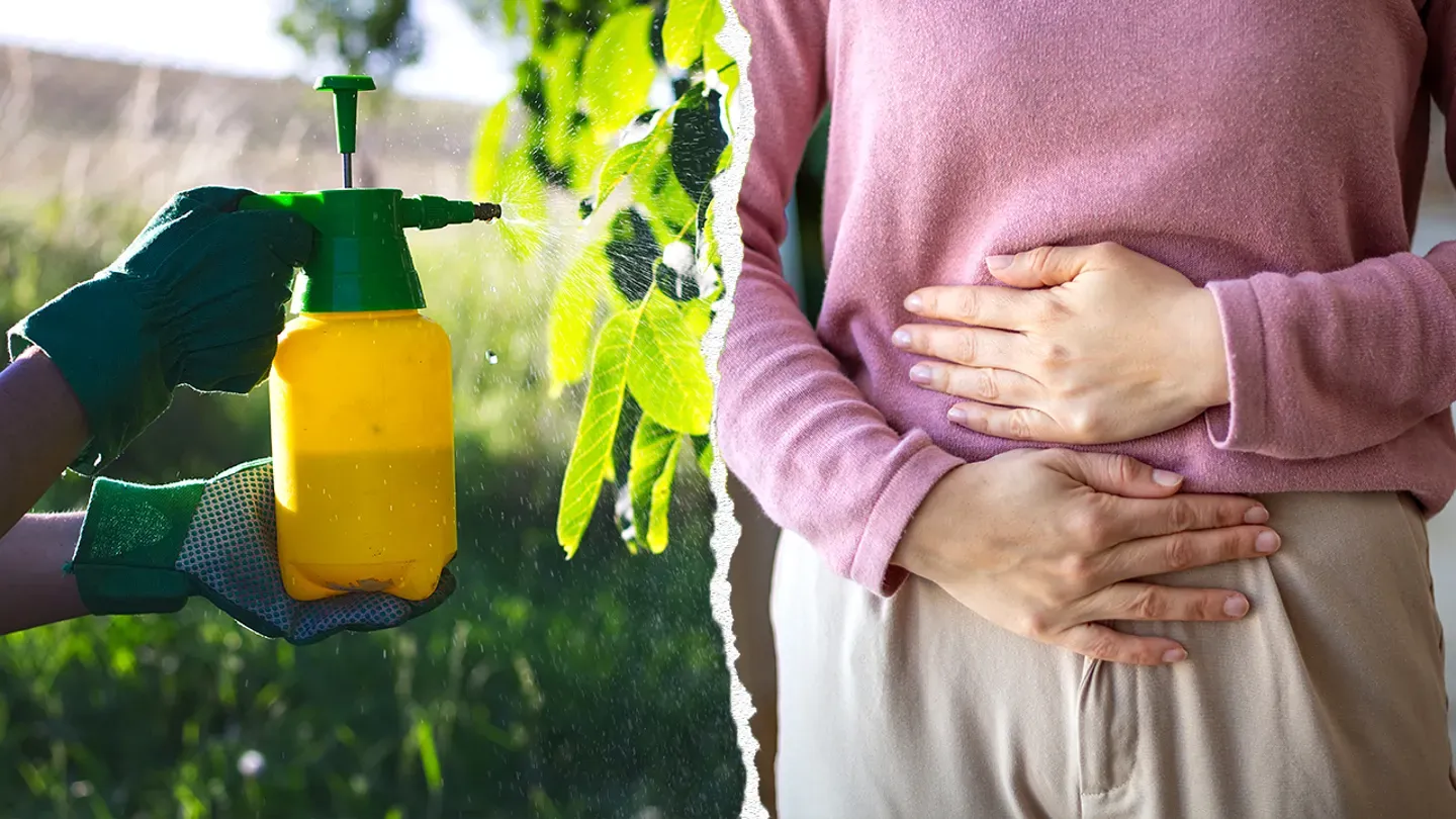 Everyday chemicals in foods and pesticides may be damaging your gut