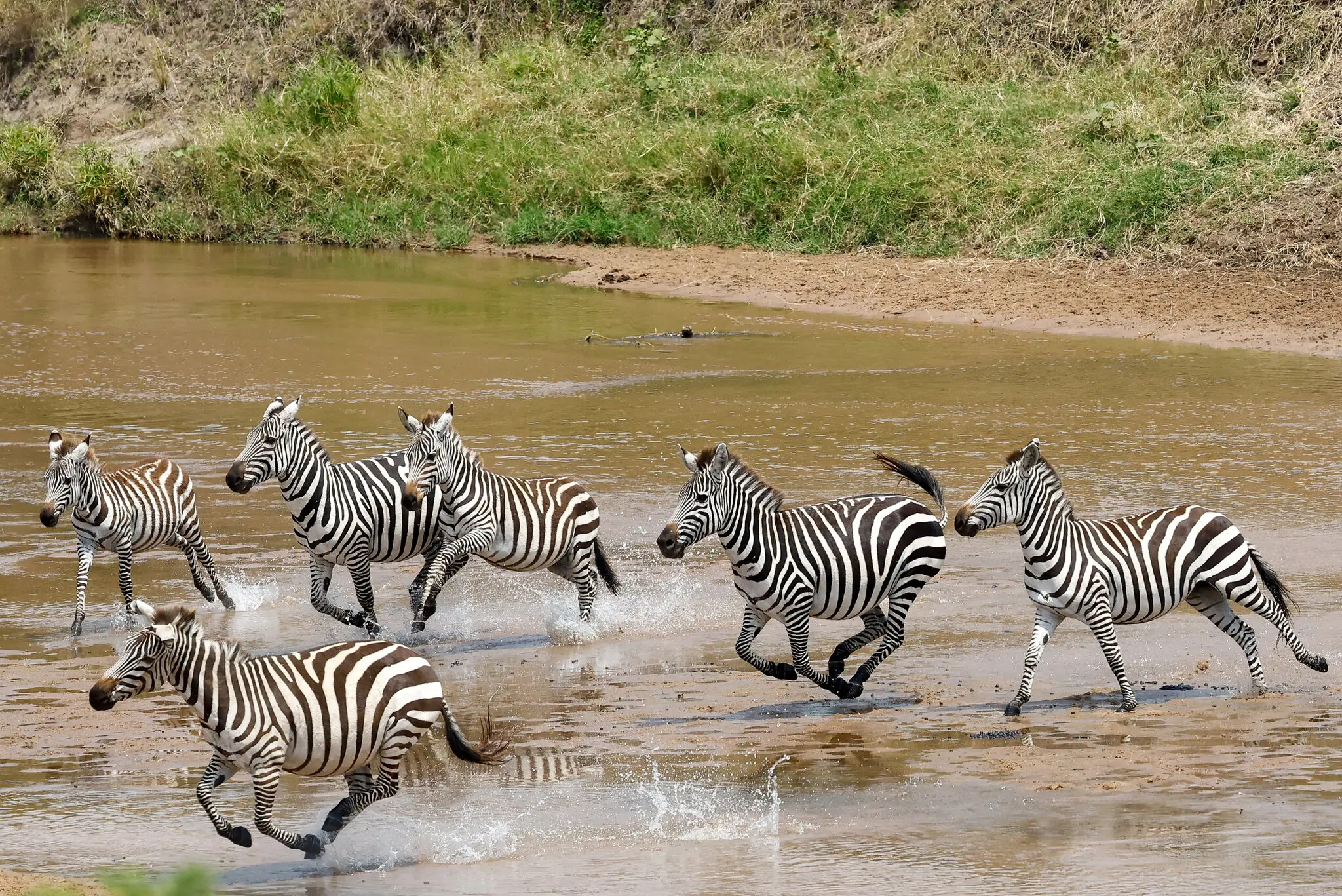 Is a $3,500-a-Night Safari Camp 