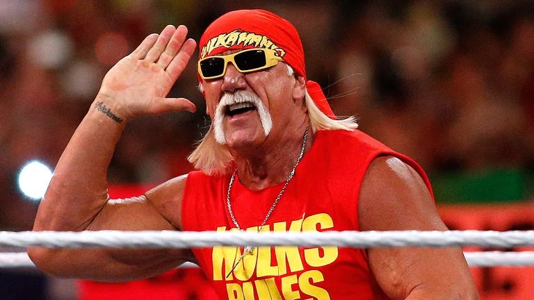 Pro Wrestling Icon Hulk (3)