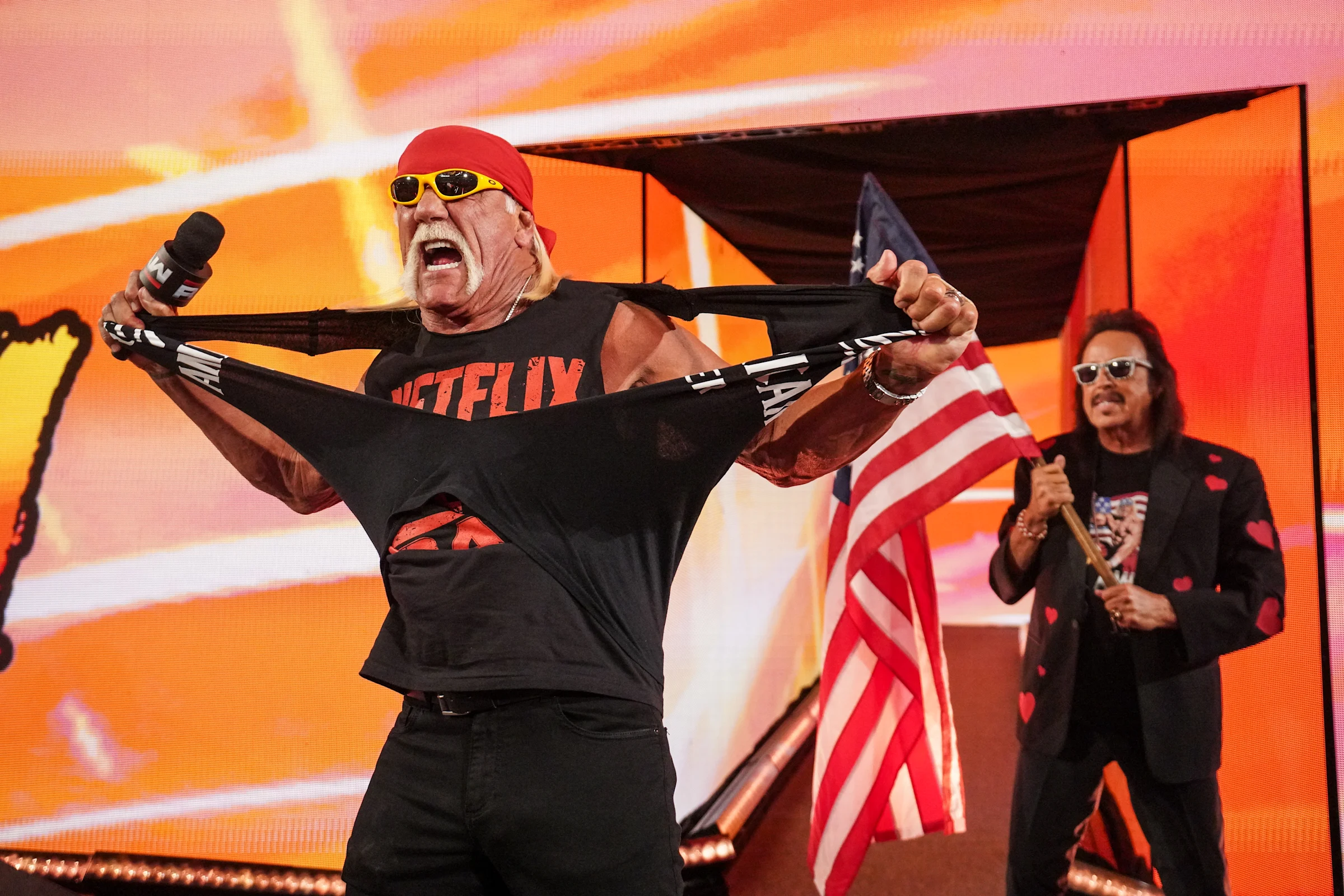 Pro Wrestling Icon Hulk