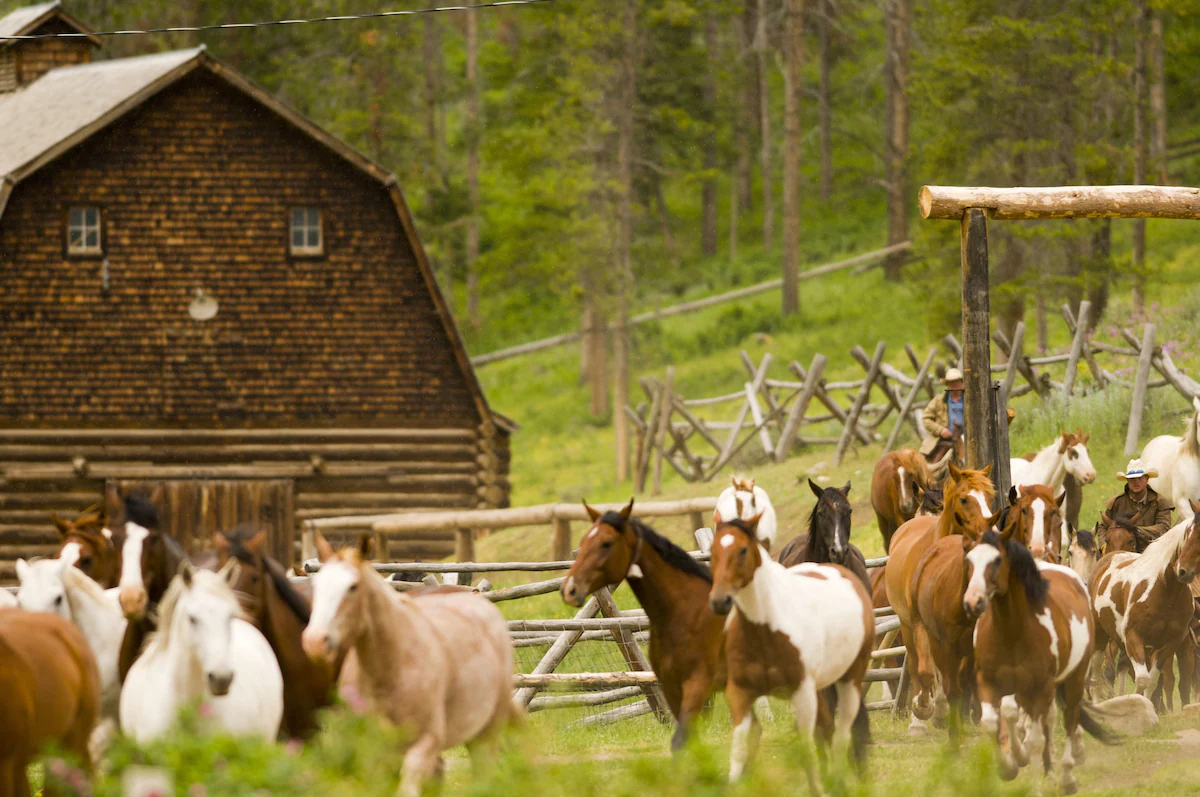 Six Perfect Ranch