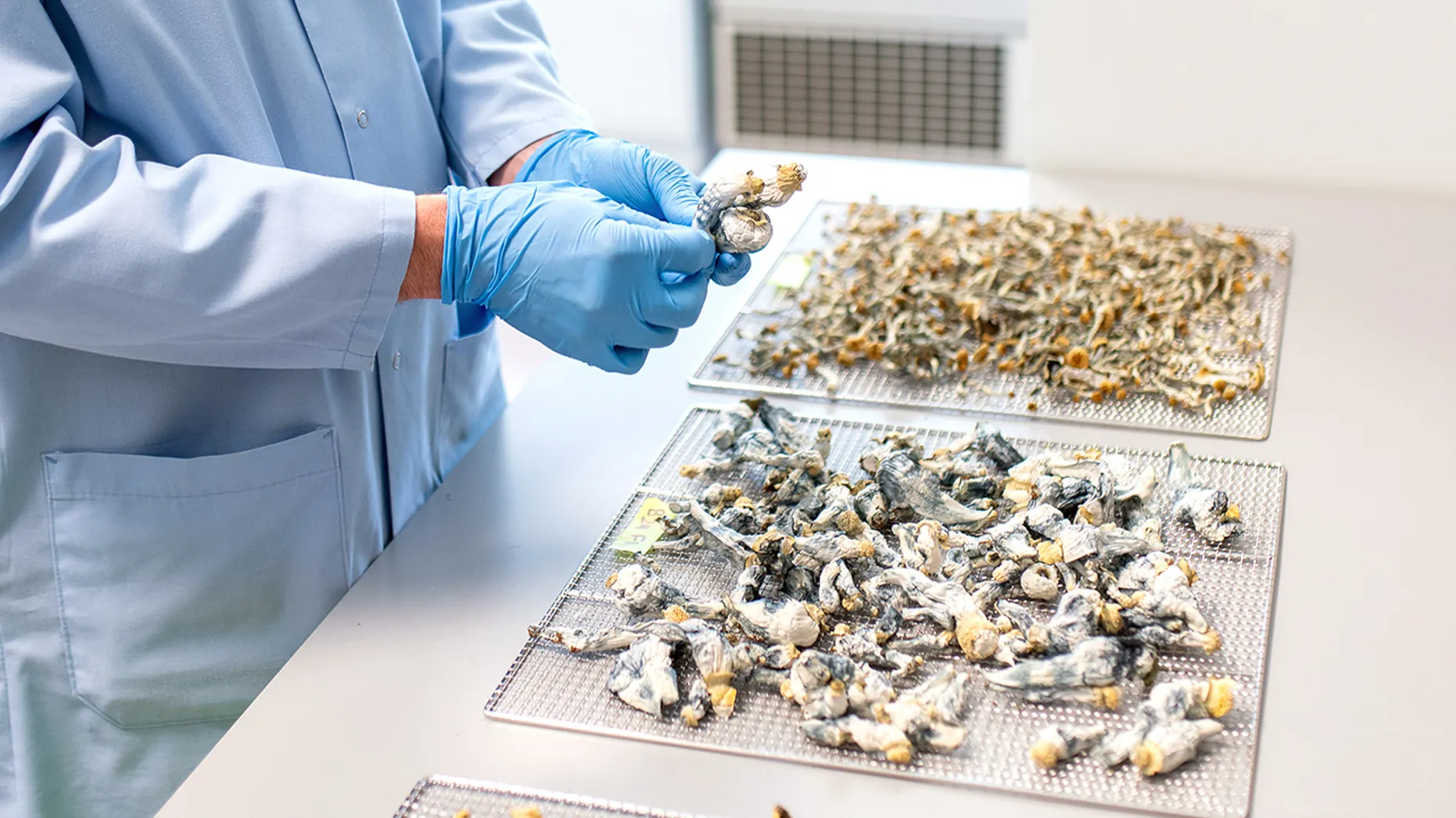 Study reveals that a one-off psilocybin dose can keep depression at bay for up to five years