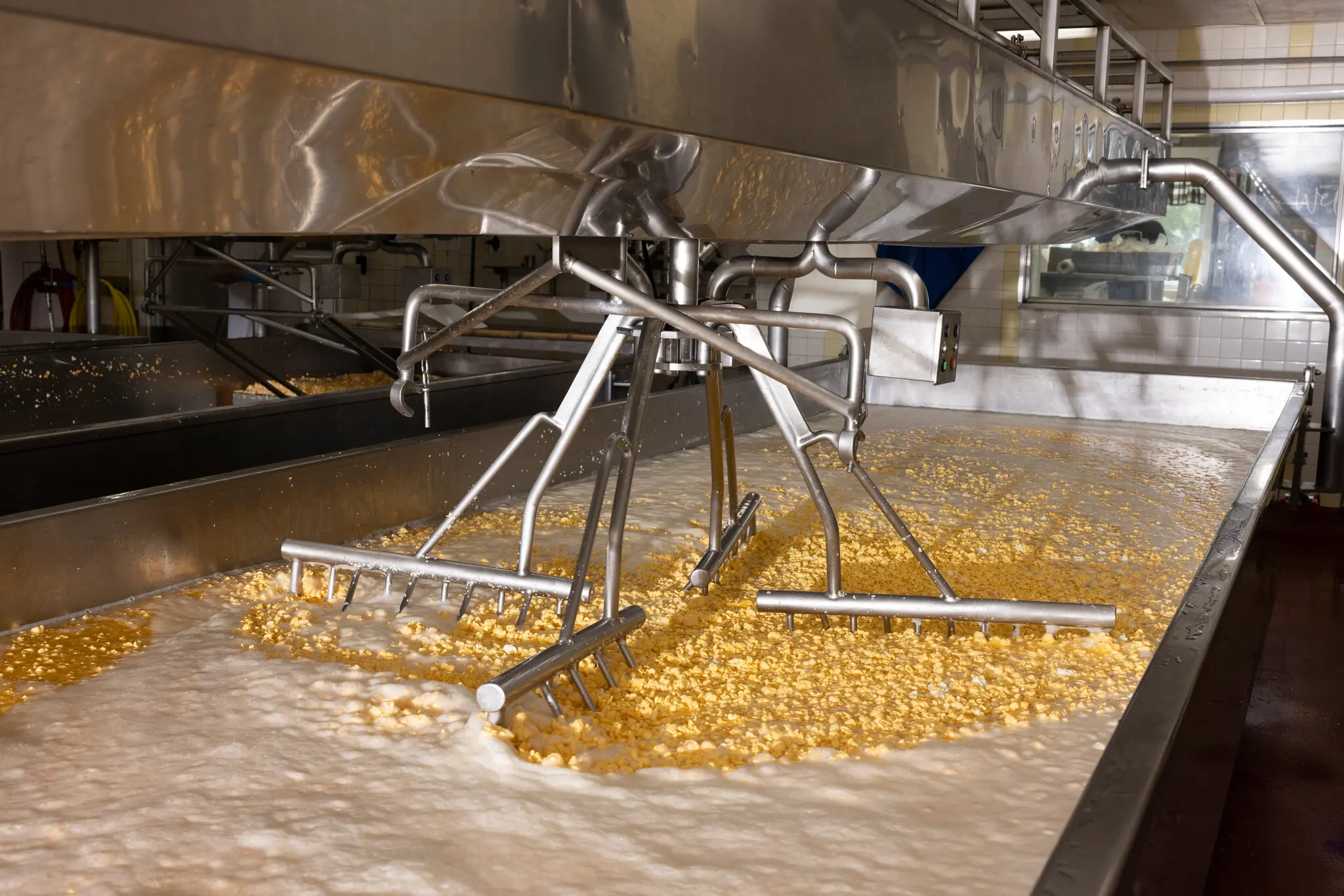 The American quest for extra protein