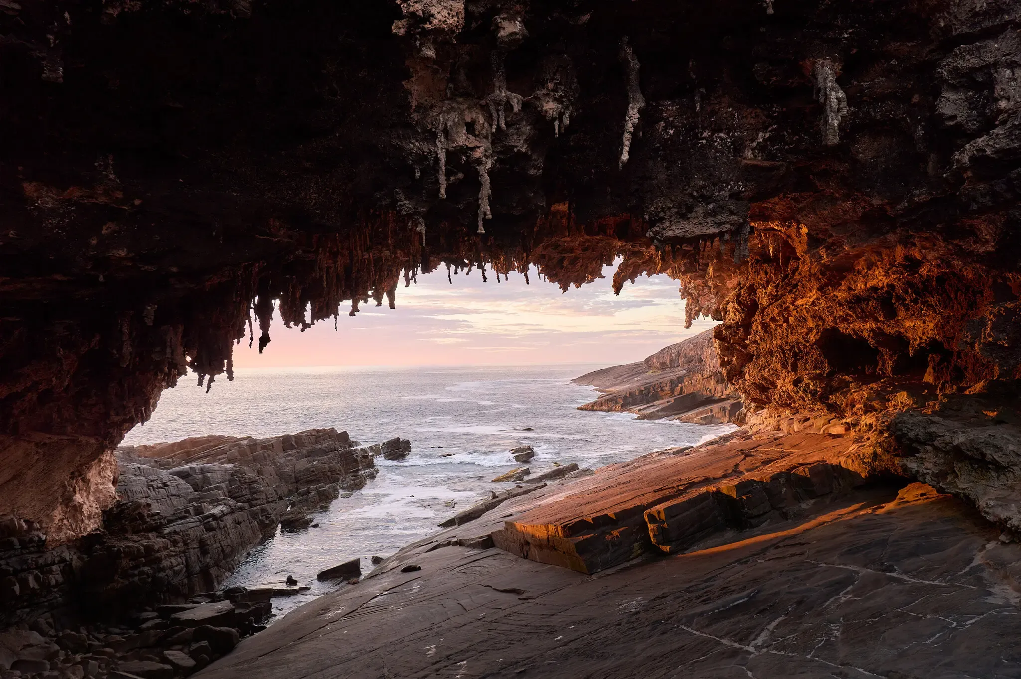 Wild Landscapes and a Celebrity Koala A Journey Across an Australian Island